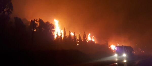İzmir'in Menderes ilçesinde otluk alanda çıkan yangına müdahale ediliyor İzmir'in Menderes ilçesinde otluk alanda çıkan yangına müdahale ediliyor - Sputnik Türkiye