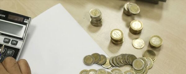 Madeni Para - Bozuk Para - Sputnik Türkiye