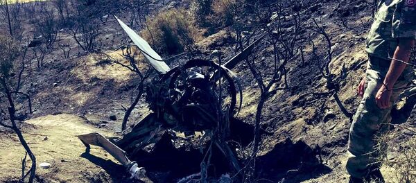 Kuzey Kıbrıs  - Sputnik Türkiye