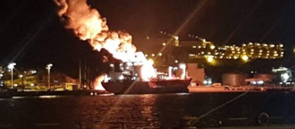 Aliağa'da gemi yangını: 1 ölü - Sputnik Türkiye