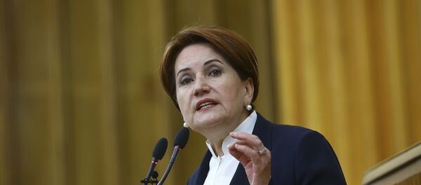 Meral Akşener - Sputnik Türkiye
