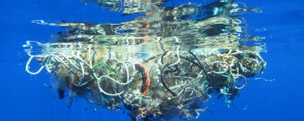 Çevreciler Pasifik Okyanusu'ndan 40 tondan fazla çöp çıkardı - Sputnik Türkiye