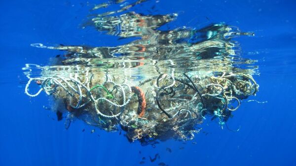 Çevreciler Pasifik Okyanusu'ndan 40 tondan fazla çöp çıkardı - Sputnik Türkiye