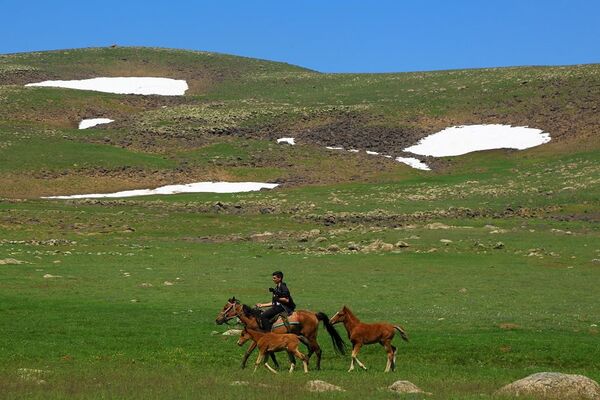 Hınıs’ın Yayla Konak Köyü’nde, atı ve peşindeki taylarla yaylaya giden bir çocuk - Sputnik Türkiye