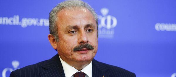 Mustafa Şentop - Sputnik Türkiye