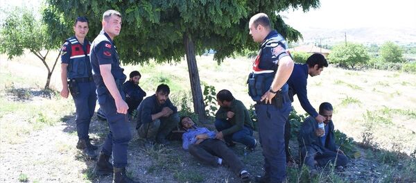  Afgan göçmenleri İstanbul'a geldik diyerek ormana bıraktılar  - Sputnik Türkiye