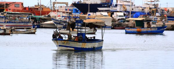 Tunus - Göçmen - Sputnik Türkiye