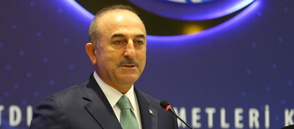 Mevlüt Çavuşoğlu - Sputnik Türkiye