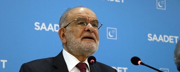 Temel Karamollaoğlu - Sputnik Türkiye