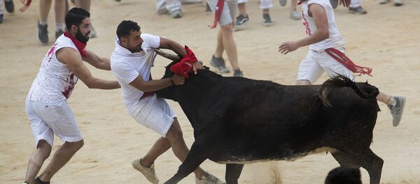 İspanya, boğa festivali - Sputnik Türkiye