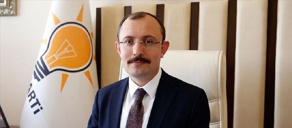 Mehmet Muş - Sputnik Türkiye