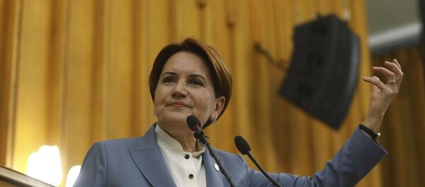 Meral Akşener - Sputnik Türkiye