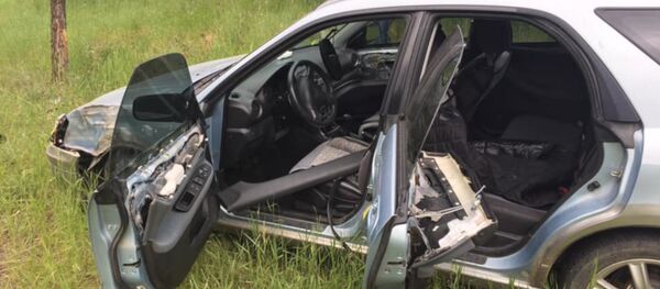 ABD’de bir ayı, araba 'kaçırıp' kaza yaptı ABD’de bir ayı, araba 'kaçırıp' kaza yaptı - Sputnik Türkiye