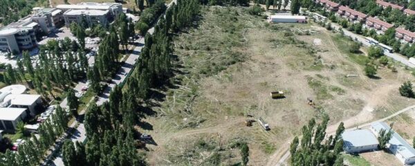 ODTÜ’deki ağaç kesimi havadan görüntülendi - Sputnik Türkiye