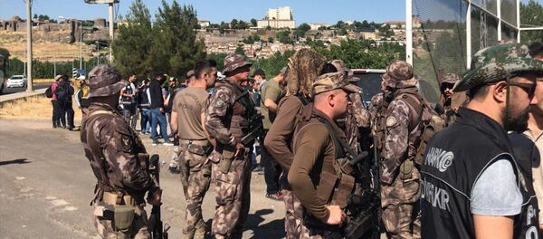 Hevsel Bahçeleri'nde uyuşturucu operasyonu  - Sputnik Türkiye