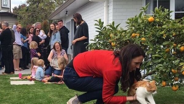 Yeni Zelanda Başbakanı Jacinda Ardern bahçede kedisi Paddles ile  - Sputnik Türkiye