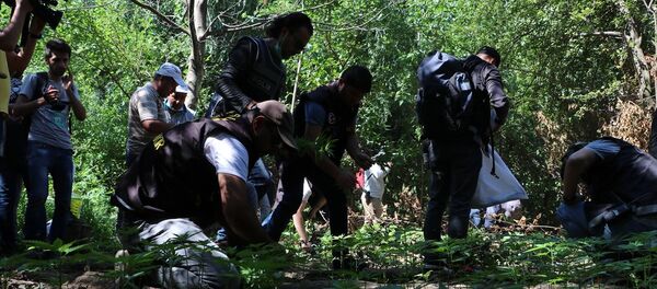 Hevsel Bahçelerindeki uyuşturucu operasyonu - Sputnik Türkiye