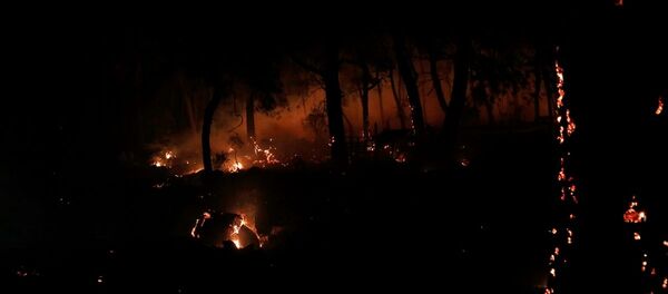 Muğla'daki orman yangınında 34 ev tahliye edildi - Sputnik Türkiye