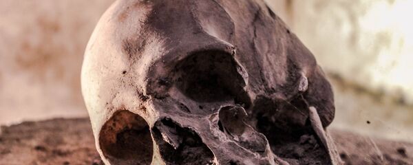 Homo sapiens, fosil - Sputnik Türkiye