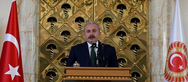 Mustafa Şentop Mustafa Şentop - Sputnik Türkiye