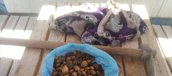 Van'ın İpekyolu ilçesinde izinsiz topladığı 1 kilo 300 gram salep soğanıyla yakalanan kişiye 60 bin 163 lira ceza uygulandı. Ele geçirilen salep soğanları ve kazma, Doğa Koruma ve Milli Parklar İl Müdürlüğüne teslim edildi. Van'ın İpekyolu ilçesinde izinsiz topladığı 1 kilo 300 gram salep soğanıyla yakalanan kişiye 60 bin 163 lira ceza uygulandı. Ele geçirilen salep soğanları ve kazma, Doğa Koruma ve Milli Parklar İl Müdürlüğüne teslim edildi. - Sputnik Türkiye