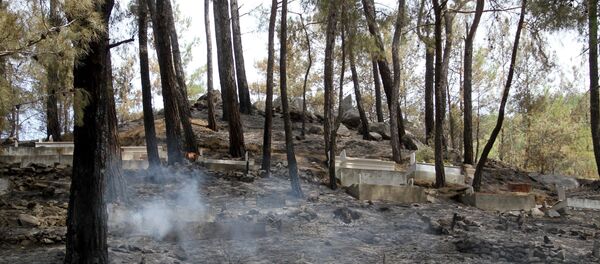 Muğla'nın Dalaman ilçesinde üç gün önce çıkan ve Fethiye Göcek Mahallesine sıçrayan orman yangını söndürüldü. Muğla'nın Dalaman ilçesinde üç gün önce çıkan ve Fethiye Göcek Mahallesine sıçrayan orman yangını söndürüldü. - Sputnik Türkiye