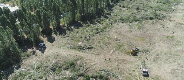 ODTÜ'de ağaçların kesildiği alan havadan görüntülendi - Sputnik Türkiye