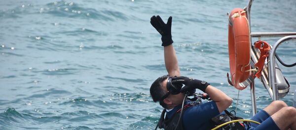 Bekir Pakdemirli Bekir Pakdemirli - Sputnik Türkiye