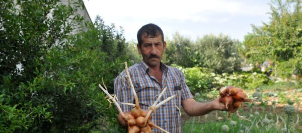 Soğan - Sputnik Türkiye