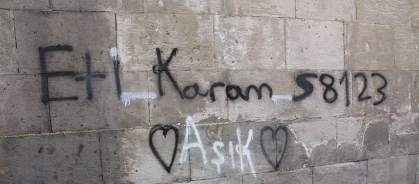 800 yıllık medreseye yazılama yapan liseli - Sputnik Türkiye