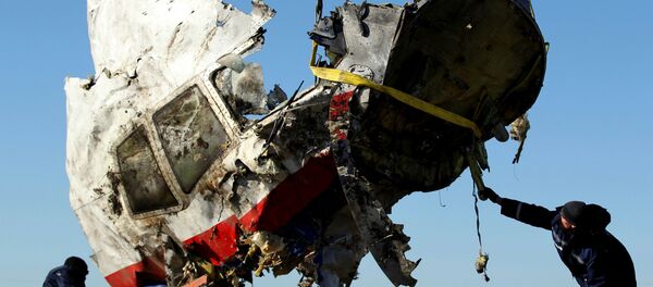 MH17 - Sputnik Türkiye