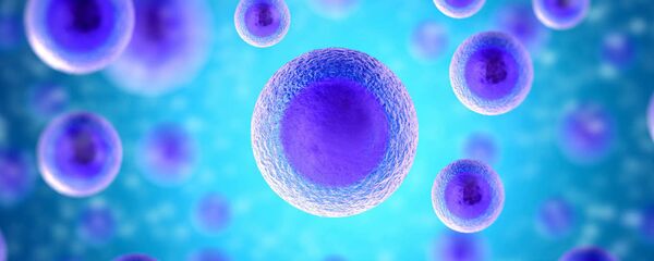 Hücre - Sputnik Türkiye