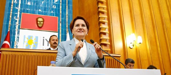 Meral Akşener - Sputnik Türkiye