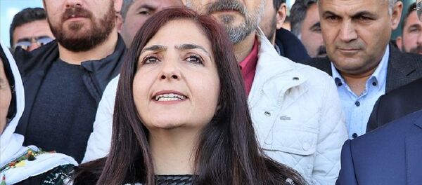 Bedia Özgökçe Ertan - Sputnik Türkiye