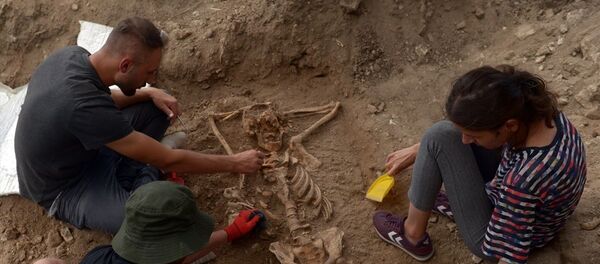 Sinop- İskelet - Sputnik Türkiye