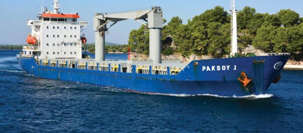 Paksoy 1 - Sputnik Türkiye