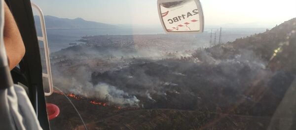 Bayraklı yangın - Sputnik Türkiye