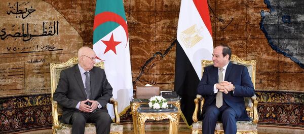 Cezayir geçici Cumhurbaşkanı, Sisi ile görüştü - Sputnik Türkiye