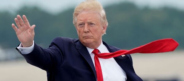 Donald Trump - Sputnik Türkiye