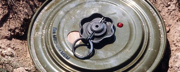 Türkiye'de 1 milyon mayın toprak altında - Sputnik Türkiye