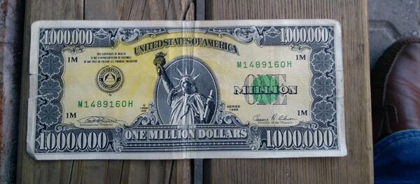 Uşak'ta 'Amerikan rüyası'nın sembolü 1 milyon dolarlık banknot ele geçirildi - Sputnik Türkiye