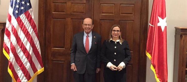 Ruhsar Pekcan ile ABD'li mevkidaşı Wilbur Ross - Sputnik Türkiye