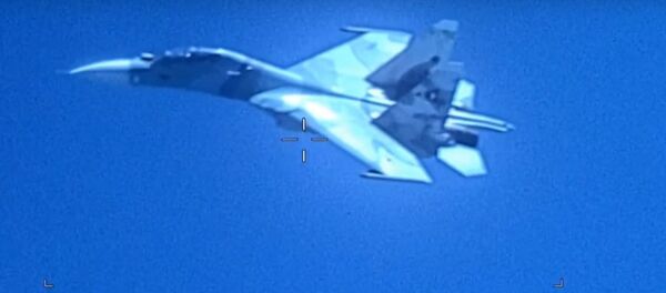 Venezüella'ya ait Su-30 uçağı - Sputnik Türkiye