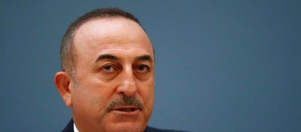 Mevlüt Çavuşoğlu - Sputnik Türkiye