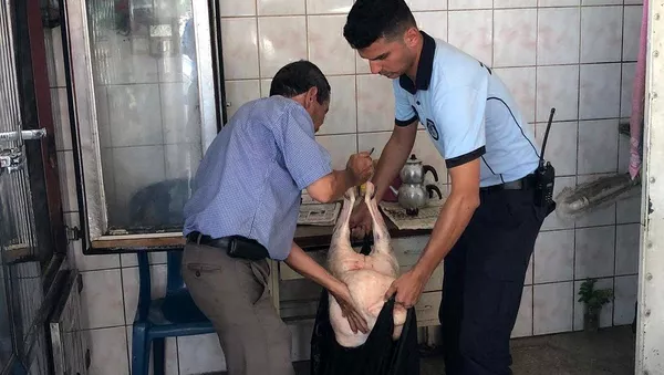 Tarsus, kaçak et - Sputnik Türkiye