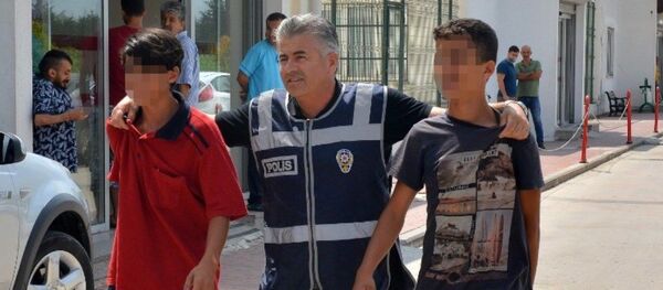 Hamile kediyi pitbullun önüne atan 3 çocuklar - Adana - Sputnik Türkiye