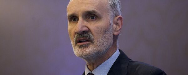 Şekib Avdagiç - Sputnik Türkiye