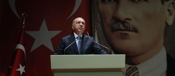 Recep Tayyip Erdoğan - Sputnik Türkiye