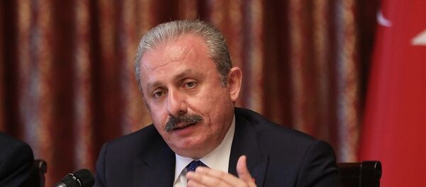 Mustafa Şentop - Sputnik Türkiye