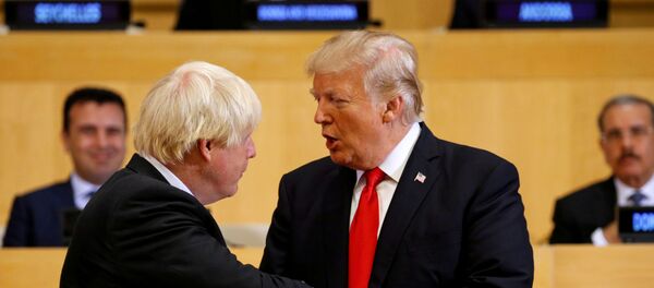 ABD Başkanı Trump, İngiltere Başbakanı  Johnson - Sputnik Türkiye